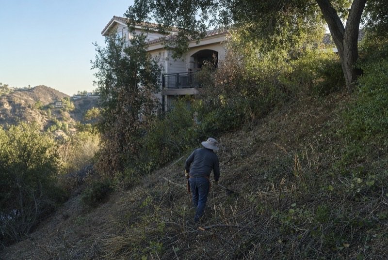 Worker in gloves and a hat trimming dry brush on a sloping yard below a house, seen from behind